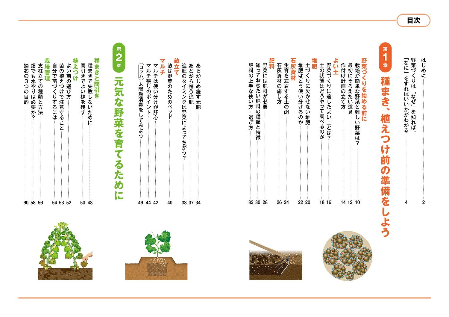 畑と野菜づくりのしくみとコツなぜ？がわかると、よく育つ[川城英夫]