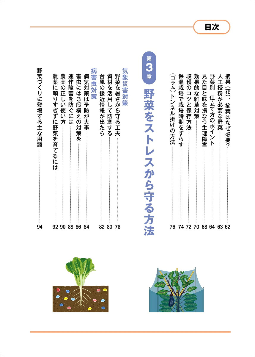 畑と野菜づくりのしくみとコツなぜ？がわかると、よく育つ[川城英夫]