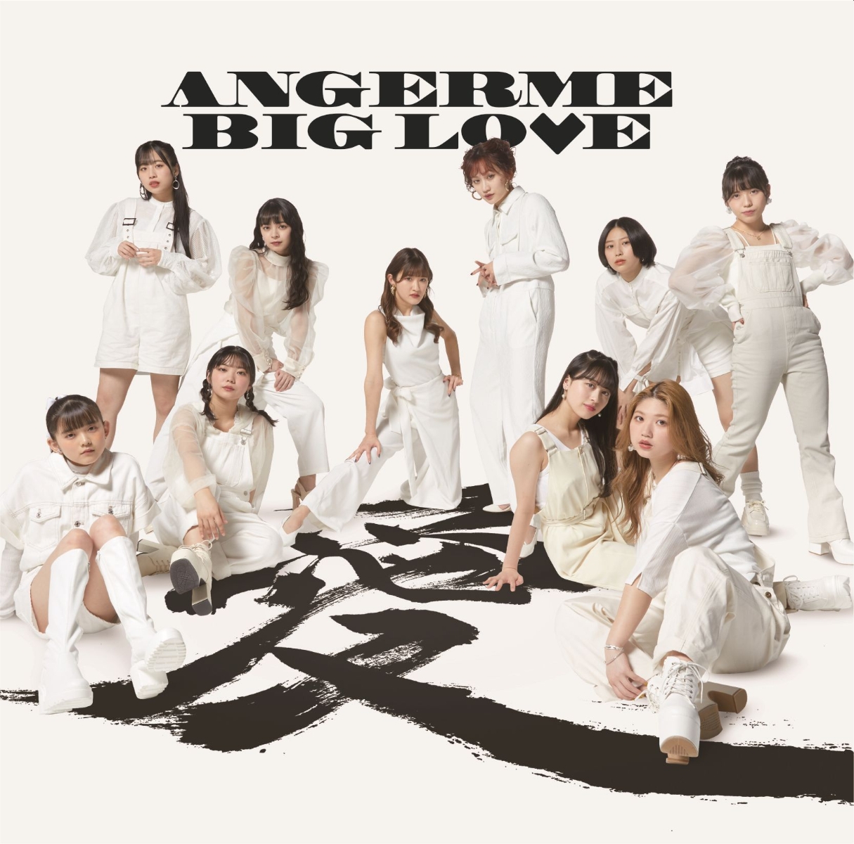 楽天ブックス: BIG LOVE - アンジュルム - 4942463857561 : CD