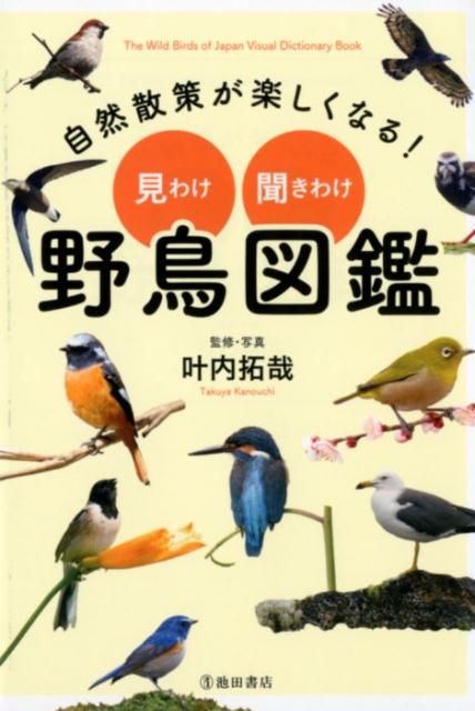 自然散策が楽しくなる！見わけ・聞きわけ野鳥図鑑[叶内拓哉]
