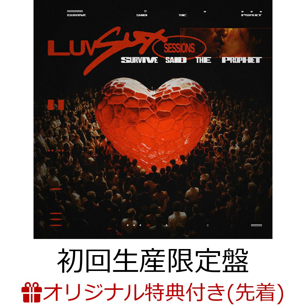 邦楽 Paledusk CD s-l1200.jpg
