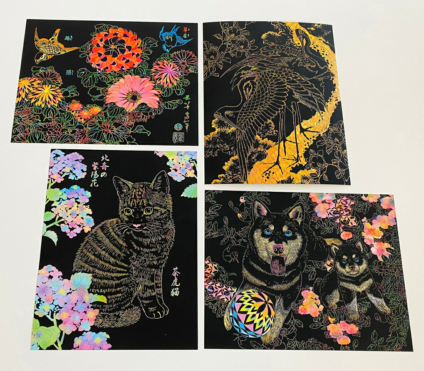 美しい日本の花と動物（川島隆太監修脳活性スクラッチアート）[川島隆太]