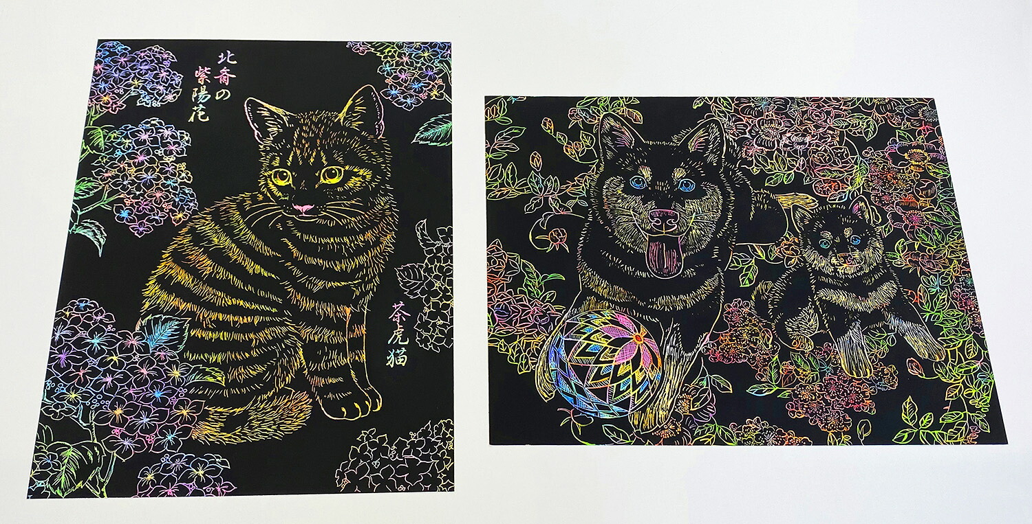 美しい日本の花と動物（川島隆太監修脳活性スクラッチアート）[川島隆太]