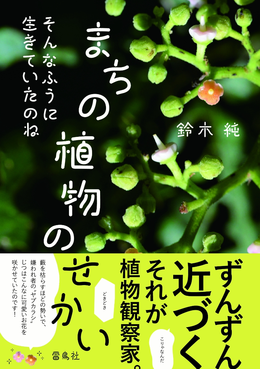 楽天ブックス そんなふうに生きていたのね まちの植物のせかい 鈴木純 本