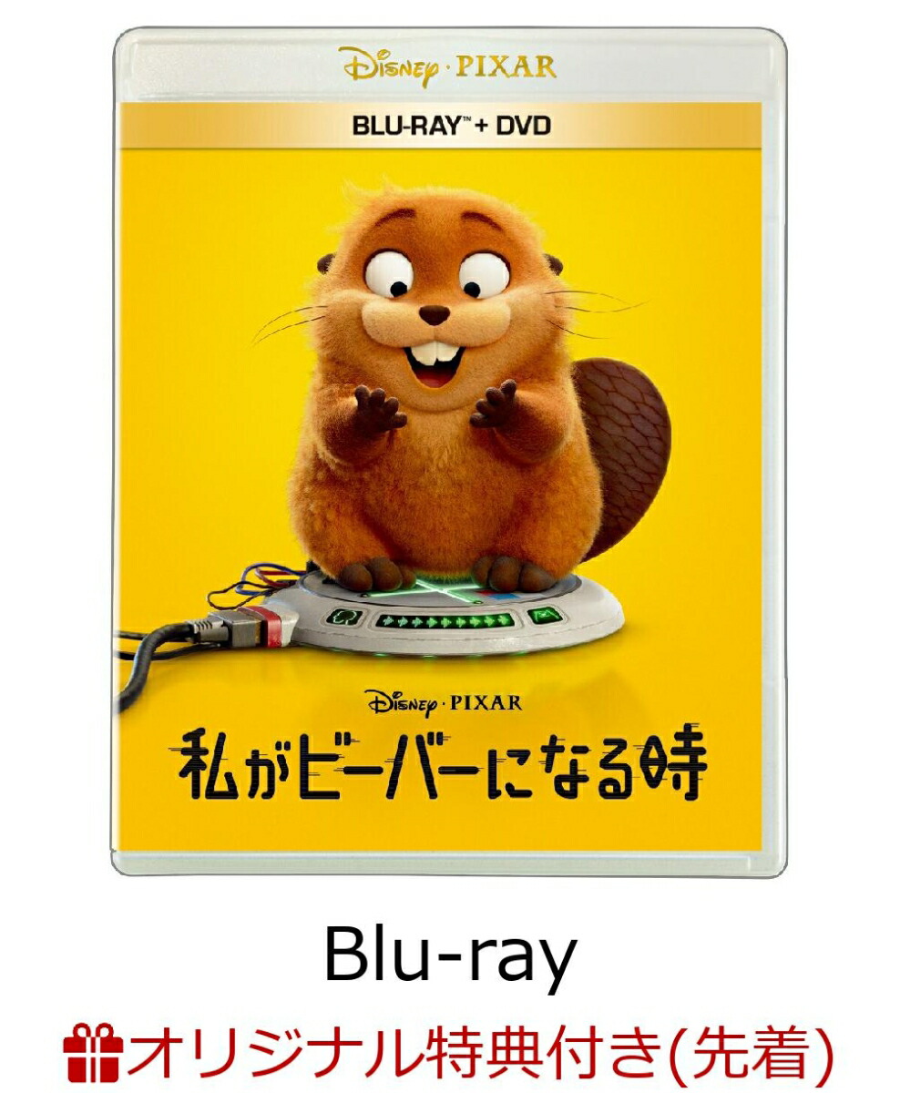 DVD へボット アクリルキーホルダー クリアファイル DVD BOXファンブック