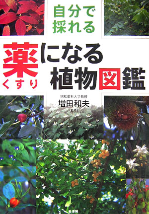 楽天ブックス 自分で採れる薬になる植物図鑑 増田和夫 本