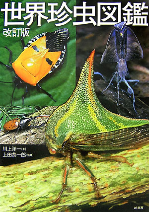 楽天ブックス: 世界珍虫図鑑改訂版 - 川上洋一 - 9784760131686 : 本