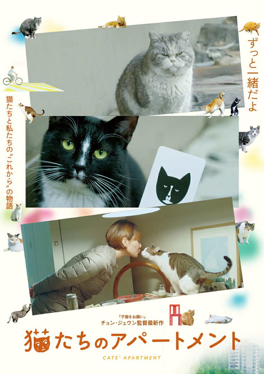 猫たちのアパートメント[チョン・ジェウン]