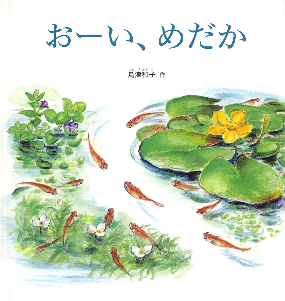 おーい、めだか（幼児絵本シリーズ）[島津和子]