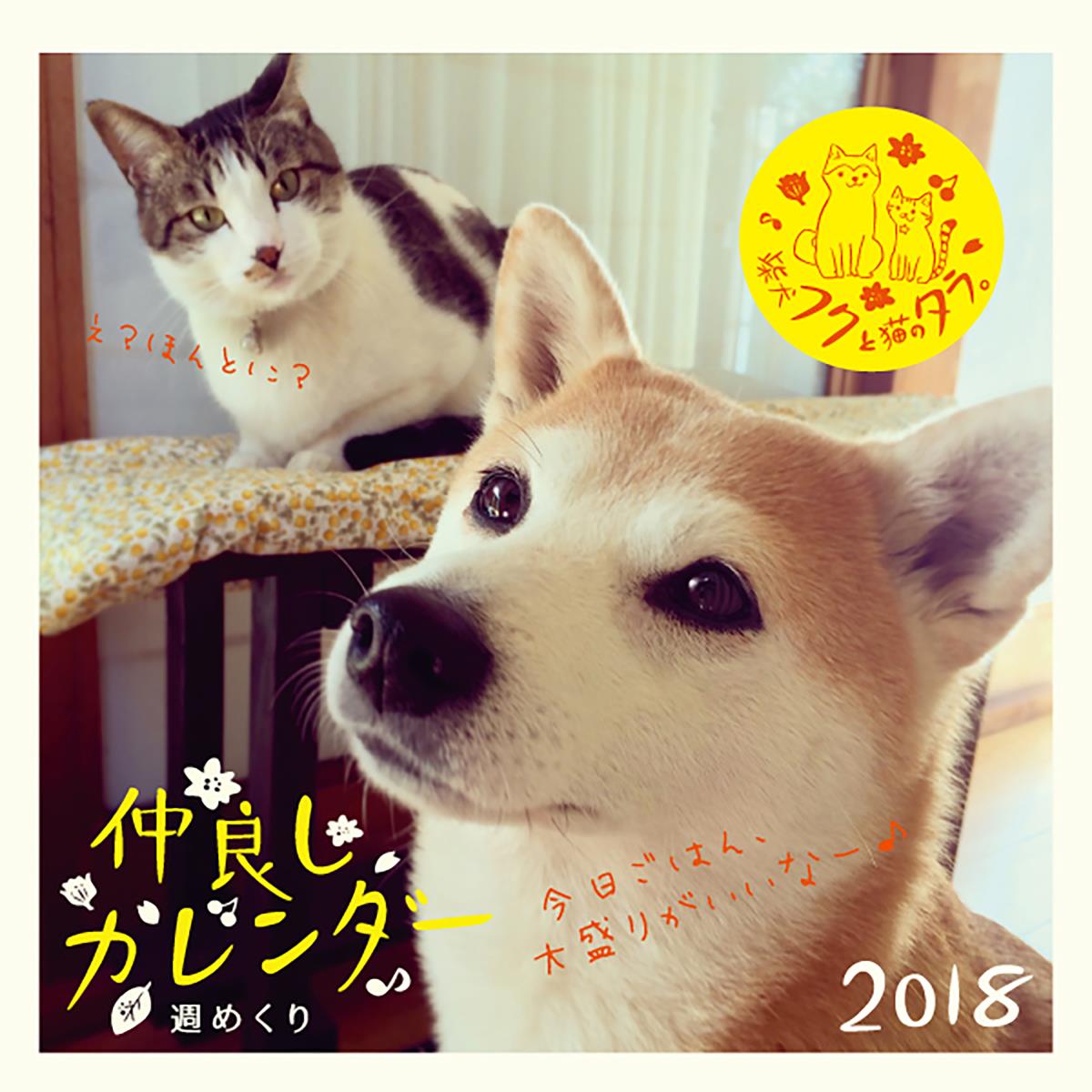 楽天ブックス 18年卓上リングカレンダー 柴犬フクと猫のタラ 仲良しカレンダー 松田 智恵 本