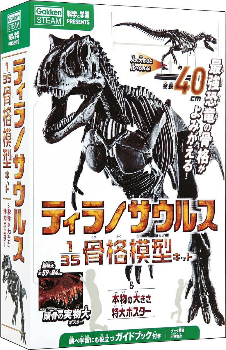 楽天ブックス ティラノサウルス1 35骨格模型キット 本物の大きさ特大ポスター 小林快次 本