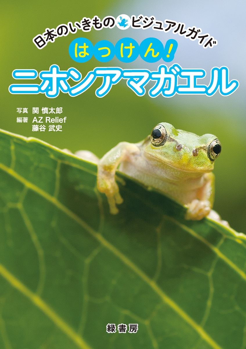 楽天ブックス 日本のいきものビジュアルガイド はっけん ニホンアマガエル 関 慎太郎 本