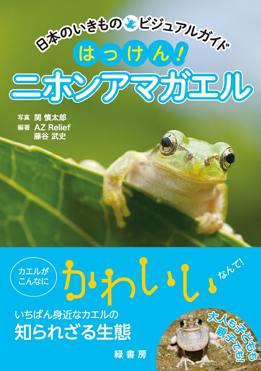 楽天ブックス 日本のいきものビジュアルガイド はっけん ニホンアマガエル 関 慎太郎 本