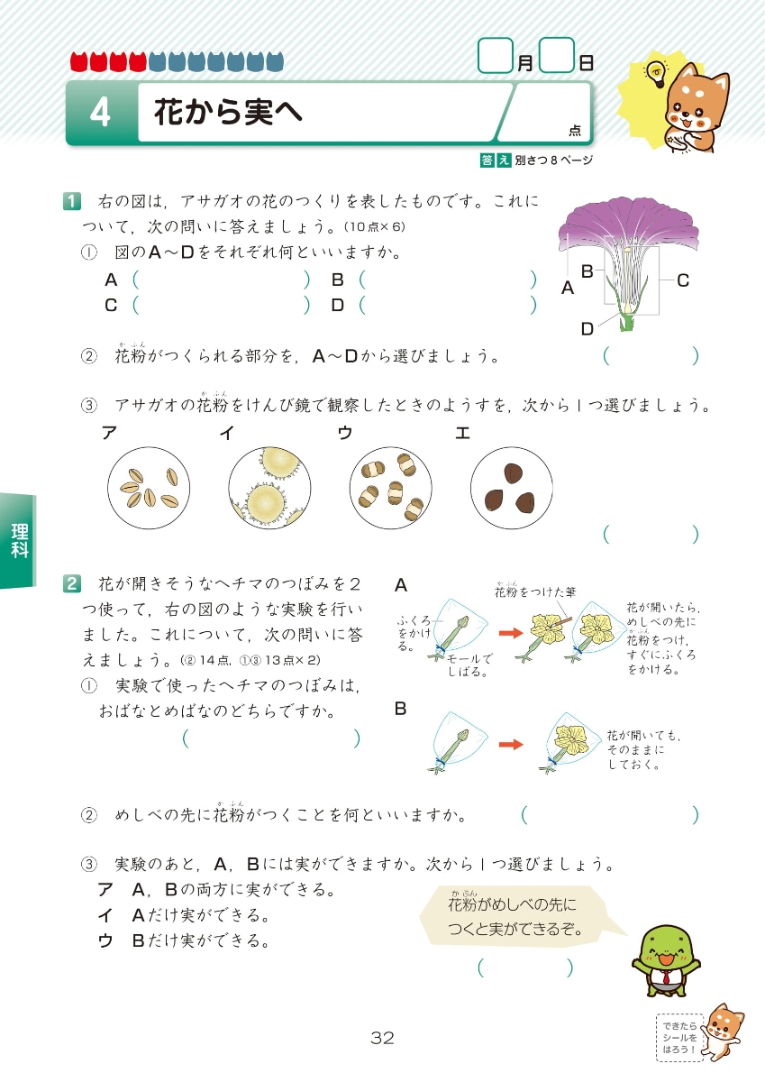 楽天ブックス チャ太郎ドリル 総復習編 小学5年生 本