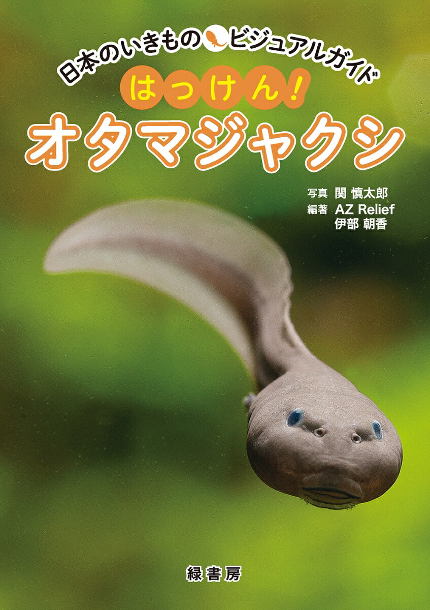 楽天ブックス 日本のいきものビジュアルガイド はっけん オタマジャクシ 関 慎太郎 本