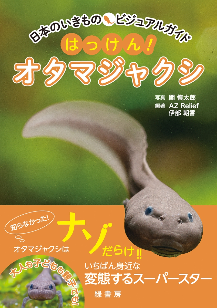 楽天ブックス 日本のいきものビジュアルガイド はっけん オタマジャクシ 関 慎太郎 本