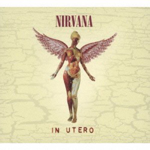 楽天市場】Nirvana ニルバーナ / In Utero - 30th Anniversary