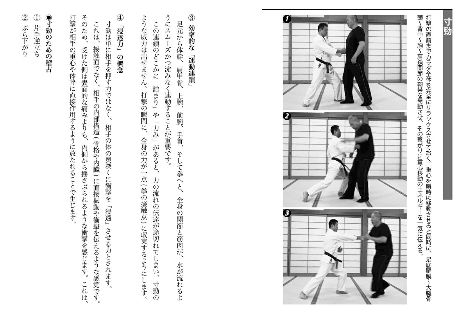 武道・武術のための靭トレ達人力を作る[加藤久弦]