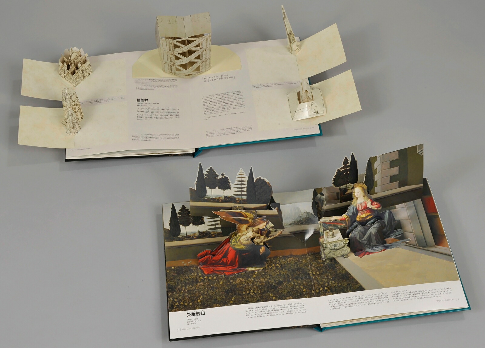 �쥪�ʥ�ɡ�������������ݥåץ��åפ�̣�臘�Ի׵Ĥ�����[�쥪�ʥ�ɡ������������]