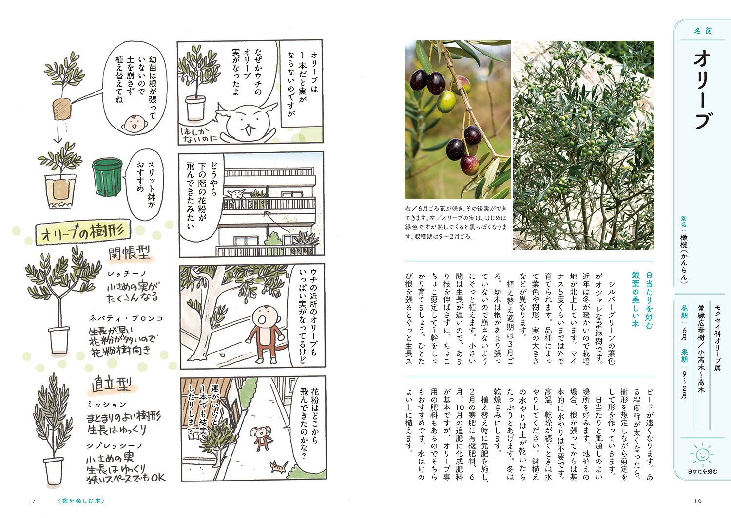 木を育ててみたいのですが。鉢植えで気軽にはじめられます[花福こざる]