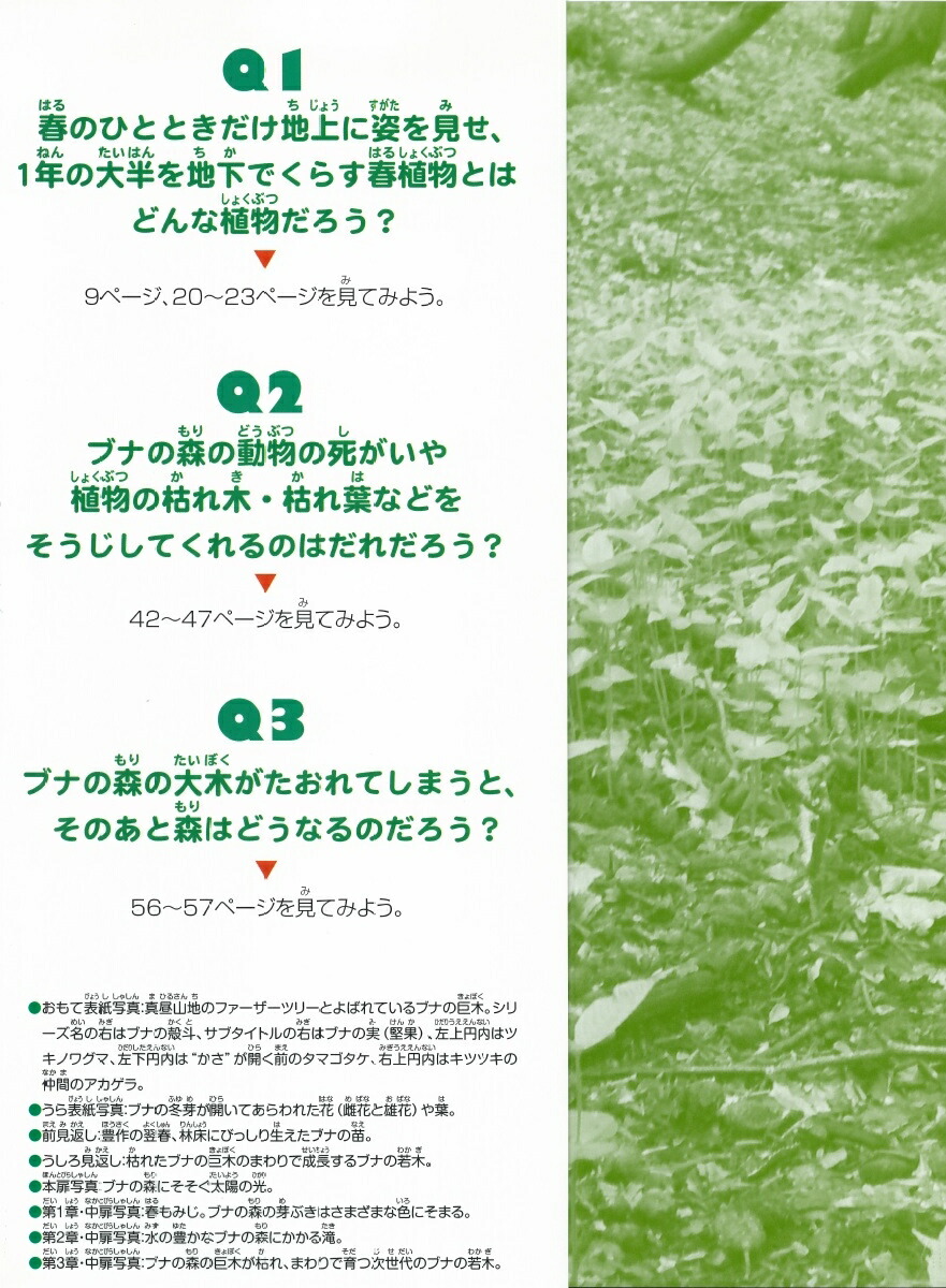 �֥ʤο���õ�����褦�������������͵�����ʪ¿����[���]