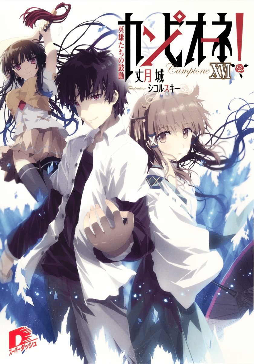 カンピオーネ！（16） 英雄たちの鼓動 （集英社スーパーダッシュ文庫） [ 丈月城 ]画像