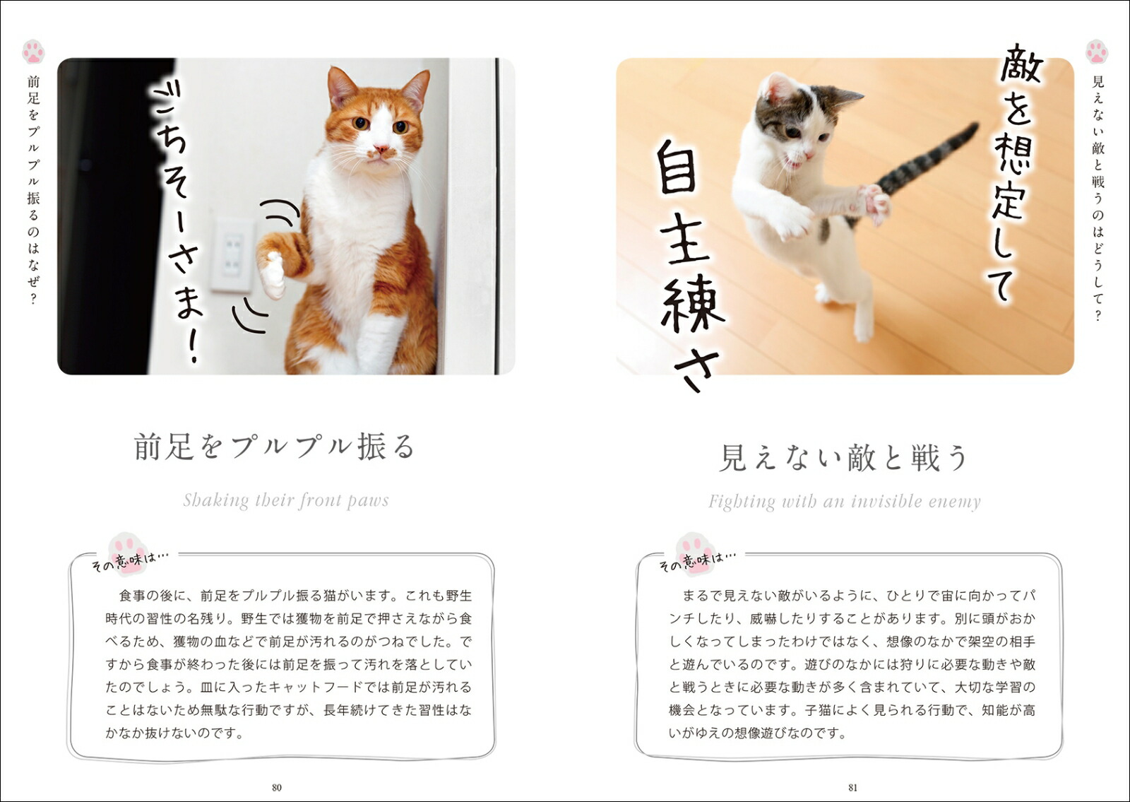楽天ブックス ねこ語会話帖 猫の言葉をシンプルに理解するためのフォトブック 今泉 忠明 本