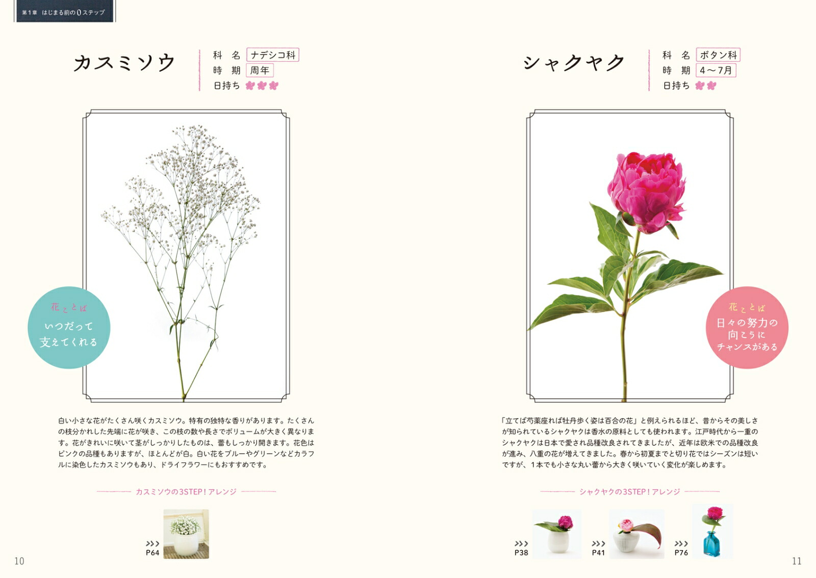 楽天ブックス 3ステップ上達法 はじめての花の活け方 いけばなとフラワーアレンジメントのプロから愛される花屋に学ぶ 永塚 慎一 本