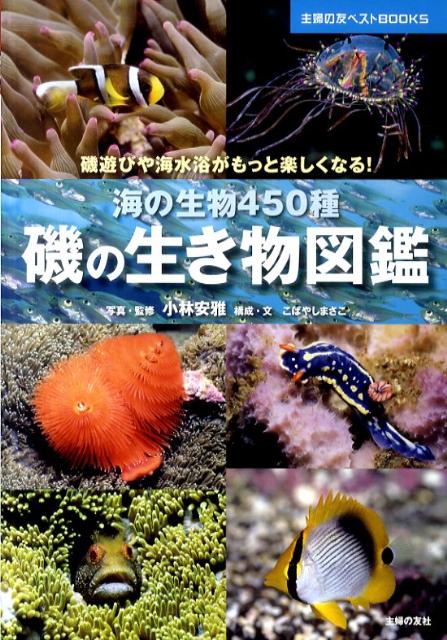 楽天ブックス 磯の生き物図鑑 海の生物450種 磯遊びや海水浴がもっと楽しくなる 小林安雅 本