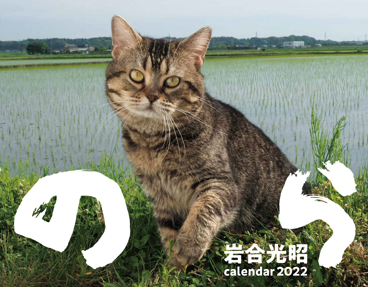 楽天ブックス 22猫カレンダー のら 岩合光昭 本