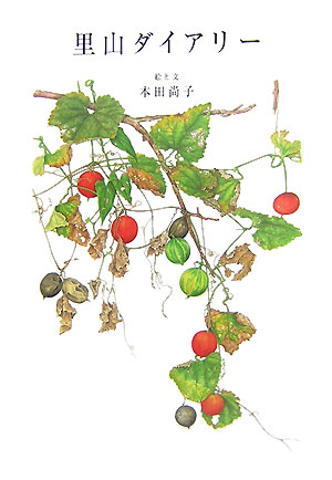 Τ���������꡼[���ľ���]