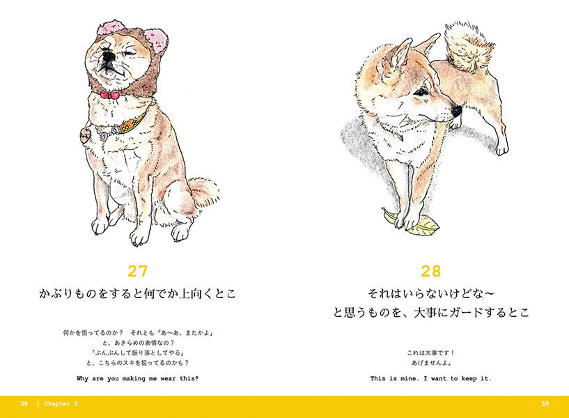 柴犬のここが好き＃ここ柴部[ここ柴]