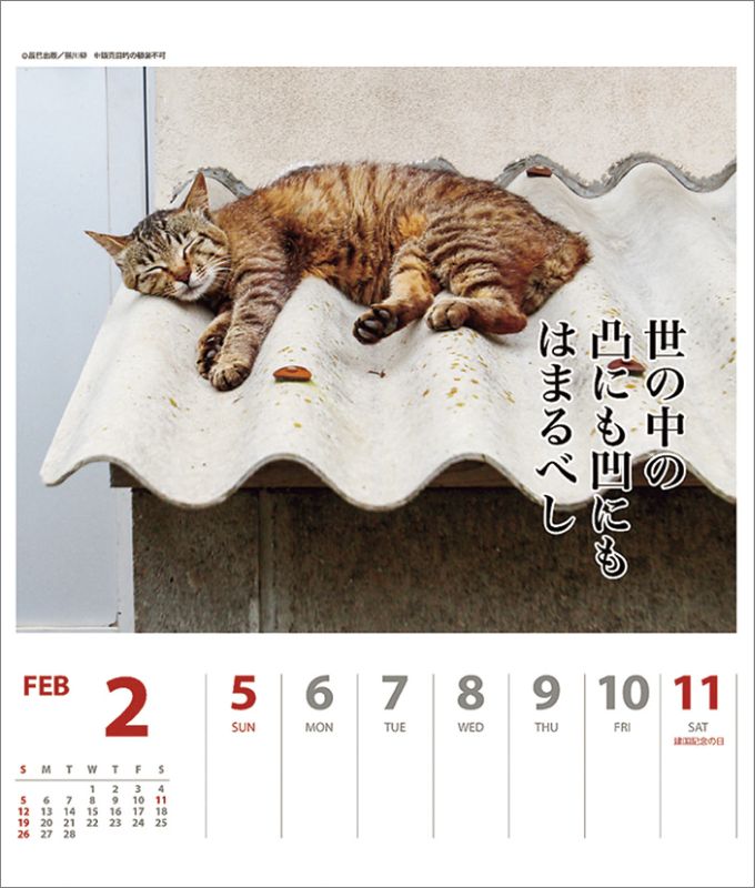 楽天ブックス 猫川柳 週めくり 2017年 カレンダー 4966005677806 本