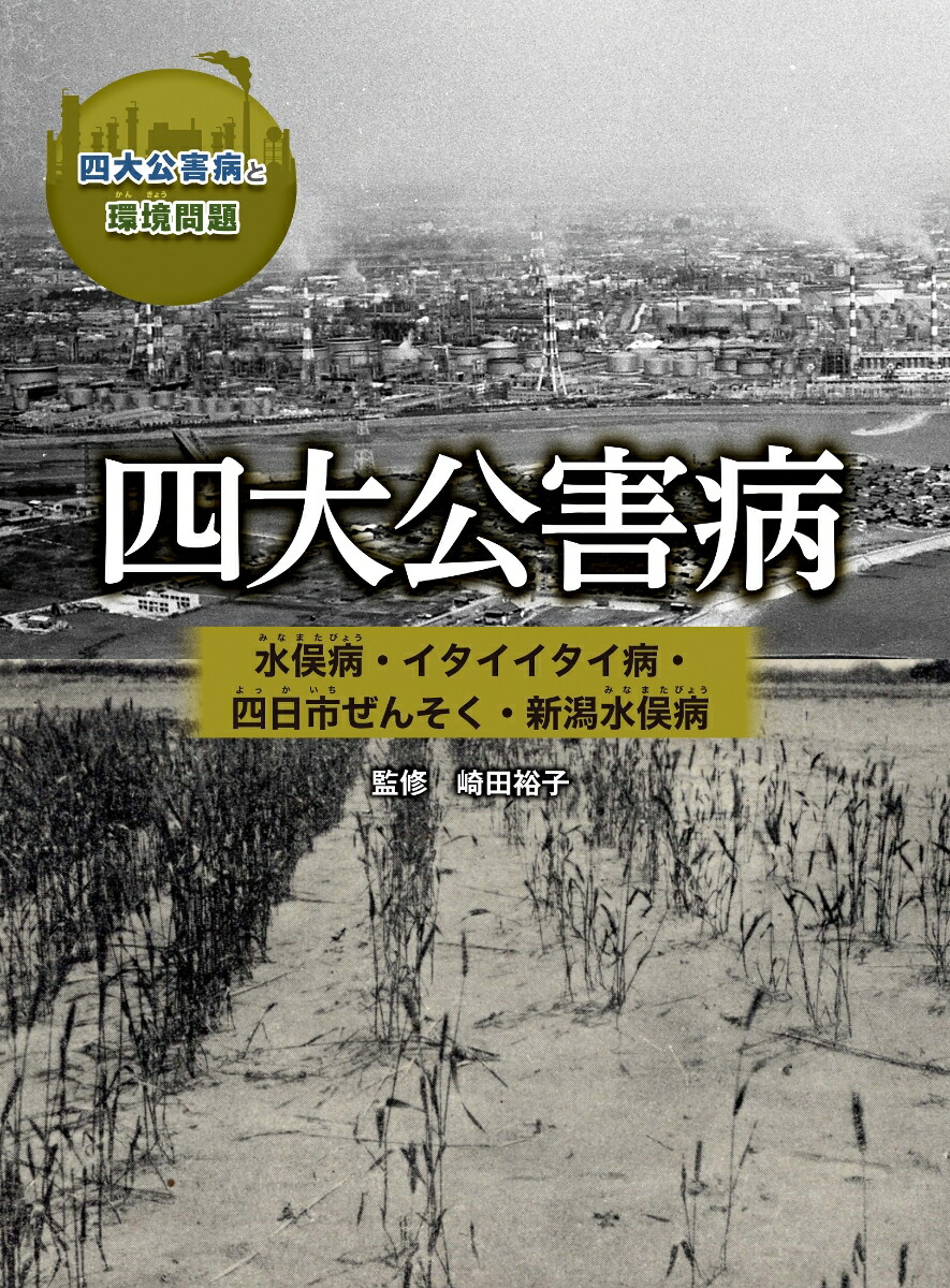 楽天ブックス: 四大公害病 水俣病・イタイイタイ病・四日市