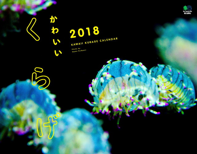 楽天ブックス かわいいくらげカレンダー 18 本