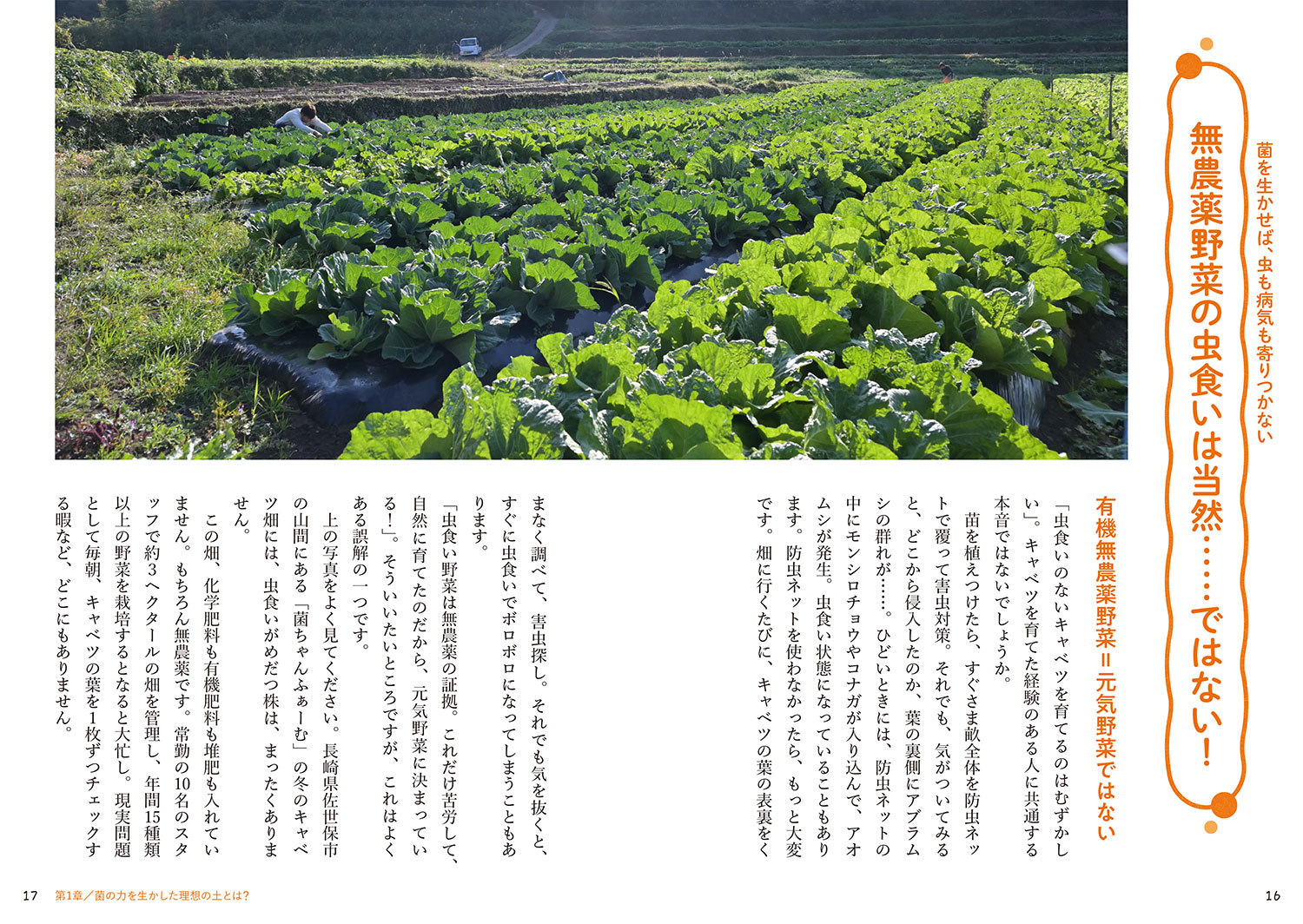 図解でよくわかる菌ちゃん農法微生物の力だけで奇跡の野菜づくり[吉田俊道]