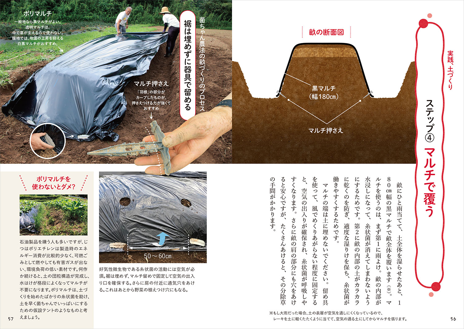 図解でよくわかる菌ちゃん農法微生物の力だけで奇跡の野菜づくり[吉田俊道]