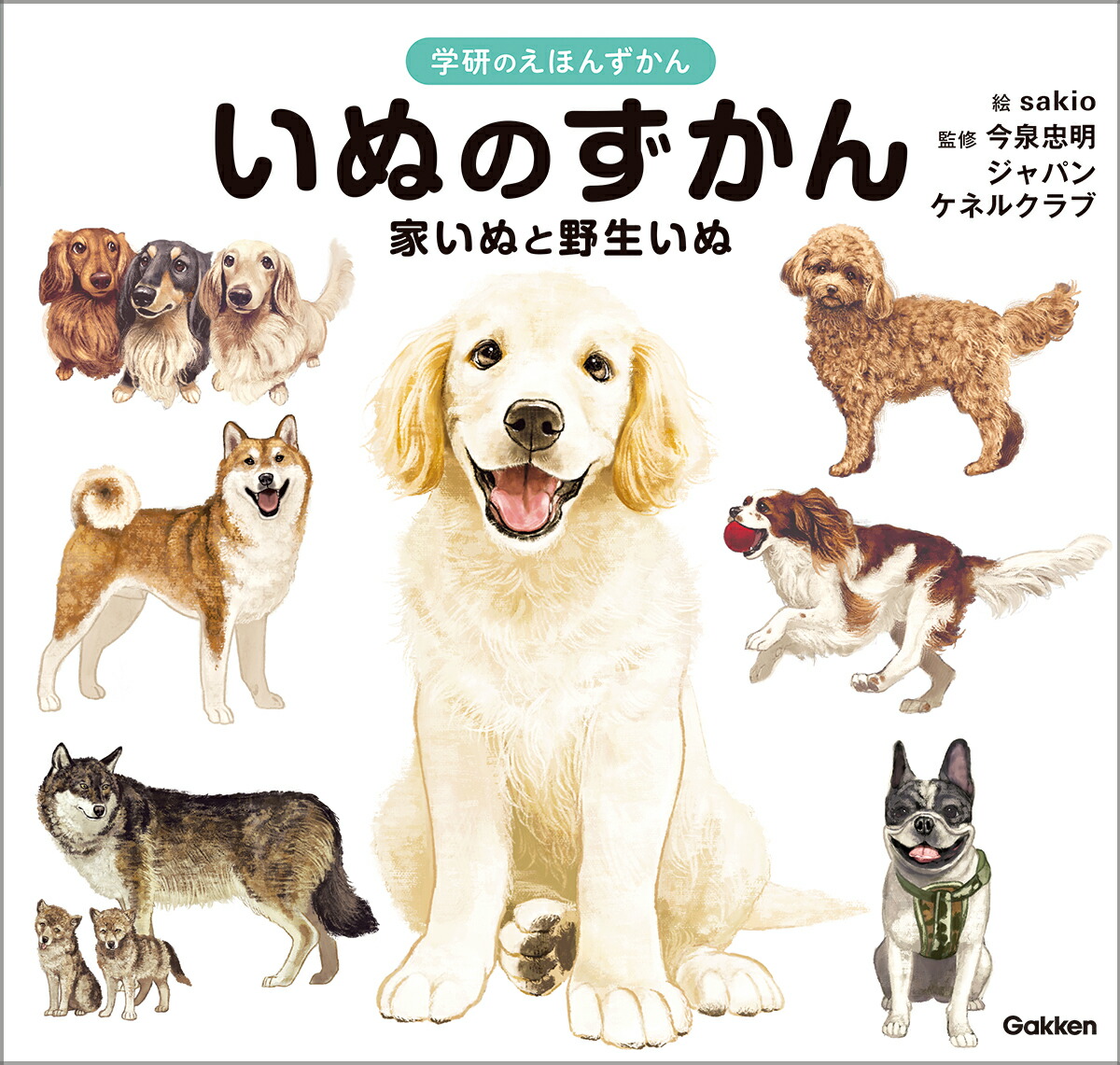 いぬのずかん家いぬと野生いぬ（学研のえほんずかん8）[今泉忠明]