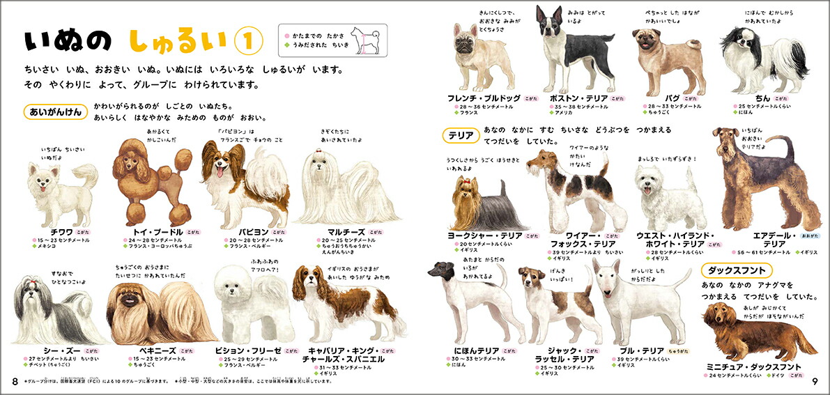 いぬのずかん家いぬと野生いぬ（学研のえほんずかん8）[今泉忠明]
