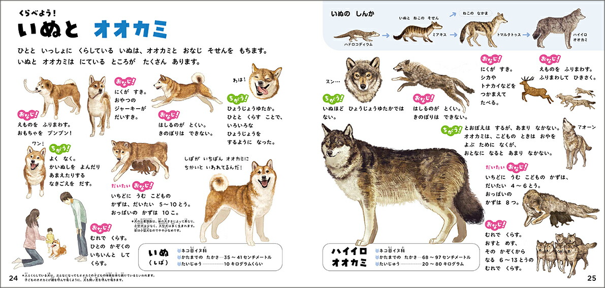 いぬのずかん家いぬと野生いぬ（学研のえほんずかん8）[今泉忠明]