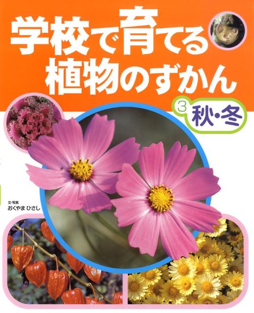 楽天ブックス 学校で育てる植物のずかん 3 秋 冬 おくやまひさし 本