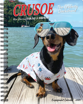 楽天ブックス: Crusoe the Celebrity Dachshund 2024 6.5 X 8.5 Engagement