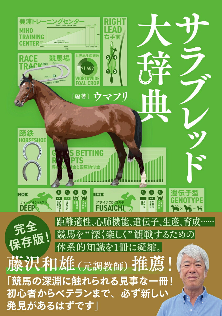 ����֥�å��缭ŵ[���ޥե�]