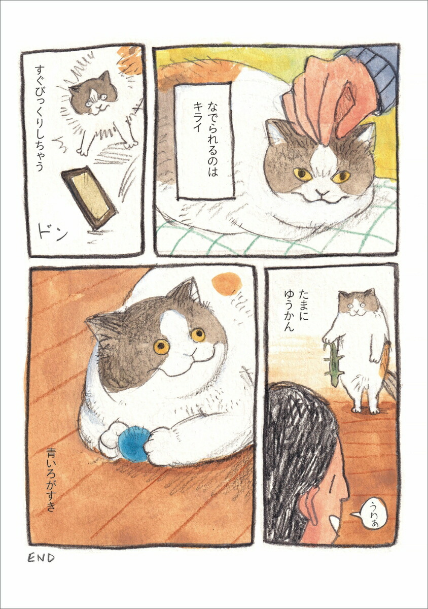 三毛猫モブは猫缶を稼ぎたい Mobu's Diary [ 黒山 キャシー・ラム ]