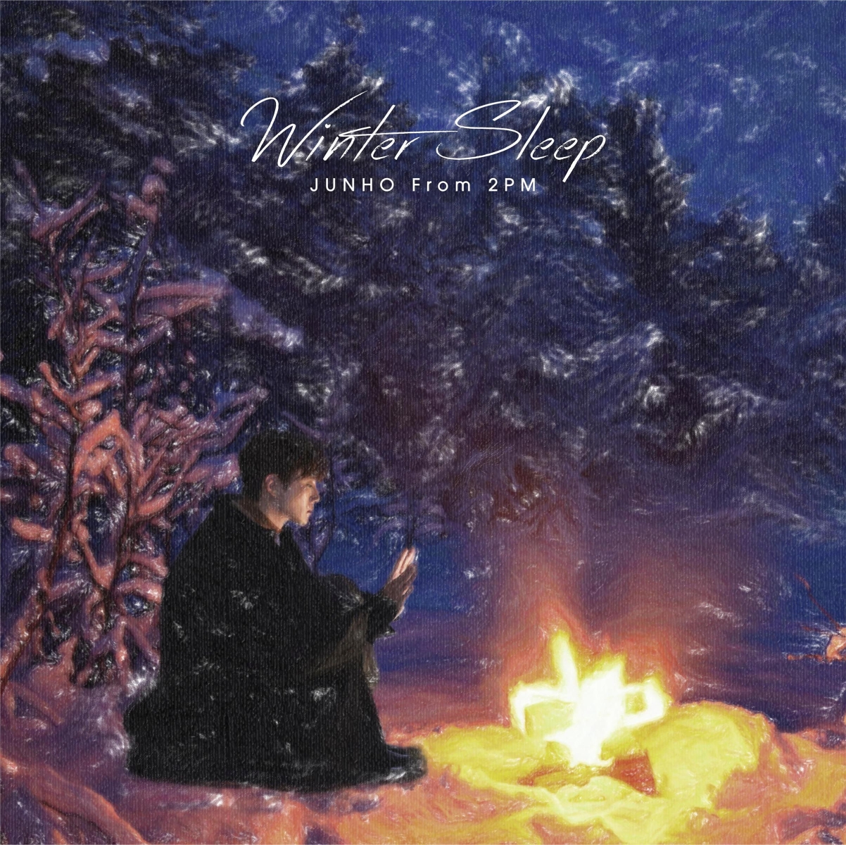 楽天ブックス: Winter Sleep リパッケージ盤 (完全生産限定盤) - JUNHO