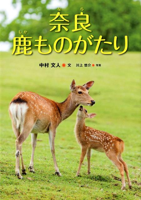 楽天ブックス 奈良鹿ものがたり 中村文人 本