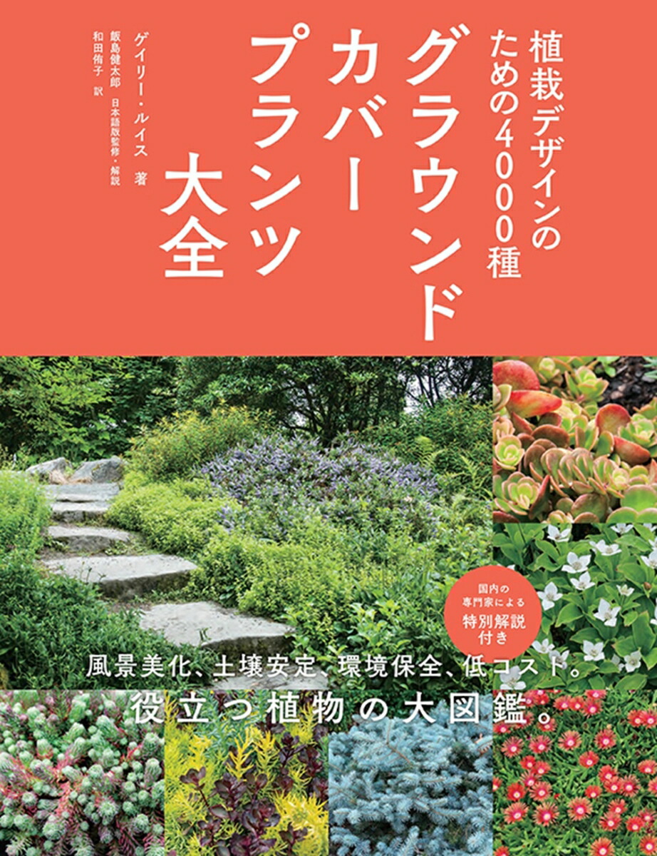 饦ɥСץϥǥΤ4000[꡼륤]