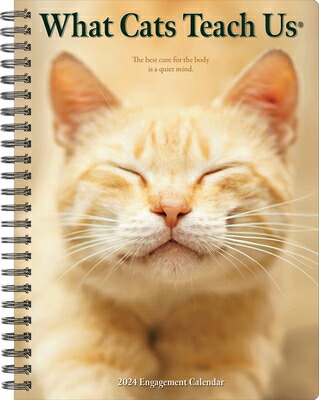 楽天ブックス: What Cats Teach Us 2024 6.5 X 8.5 Engagement Calendar - Willow Creek Press 