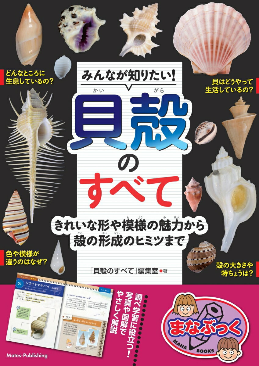値下！　貝殻　希少　標本　収集　タカラガイ各種　野外　海辺　自由研究 大幅値下❗️貝殻 希少 タカラガイ・ブック : 日本のタカラガイ図鑑