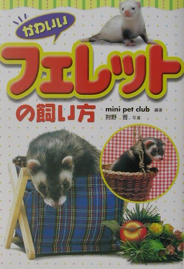 楽天ブックス かわいいフェレットの飼い方 ｍｉｎｉ ｐｅｔ ｃｌｕｂ 本